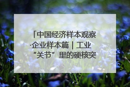 中国经济样本观察·企业样本篇｜工业“关节”里的硬核突围——老企业洛轴创新蝶变启示录